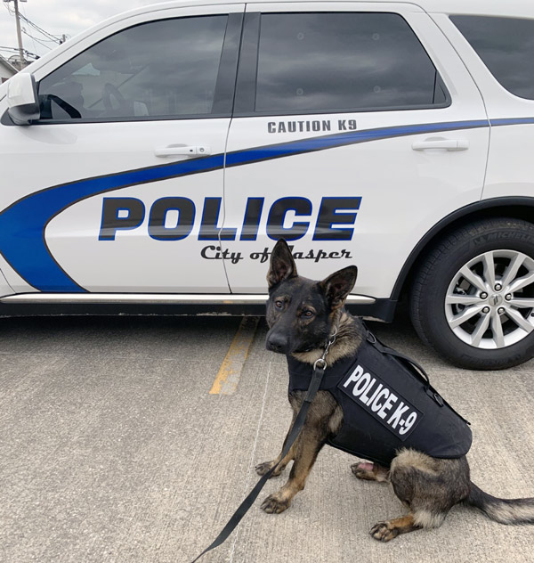 Jasper Police Department receives body armor donation for K9 Mack