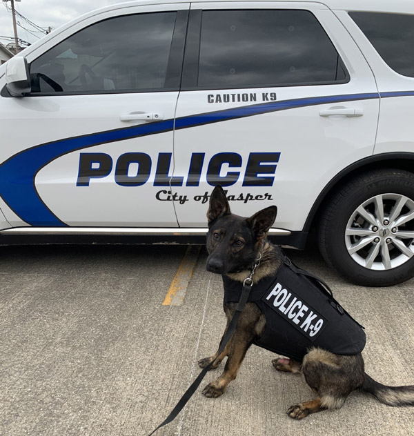 Jasper K9 receives insurance coverage through special