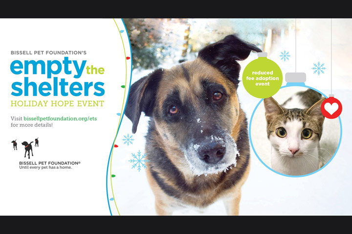 Dubois County Humane Society offering pet adoption assistance over the holidays