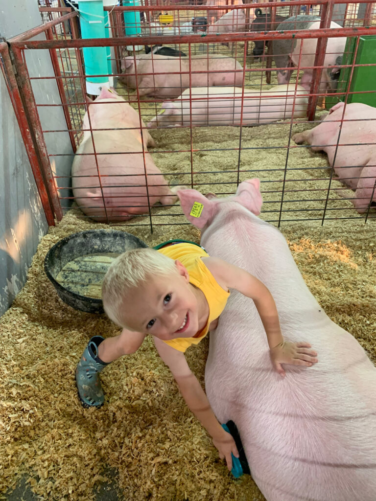 Photos 4 H Fair Fun And Horses Dubois County Free Press Inc Photos 4 h fair fun and horses dubois county free press inc